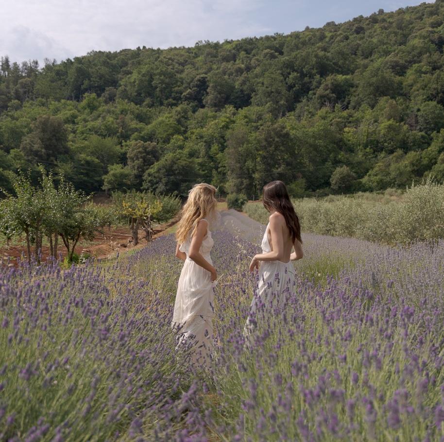 lavanda